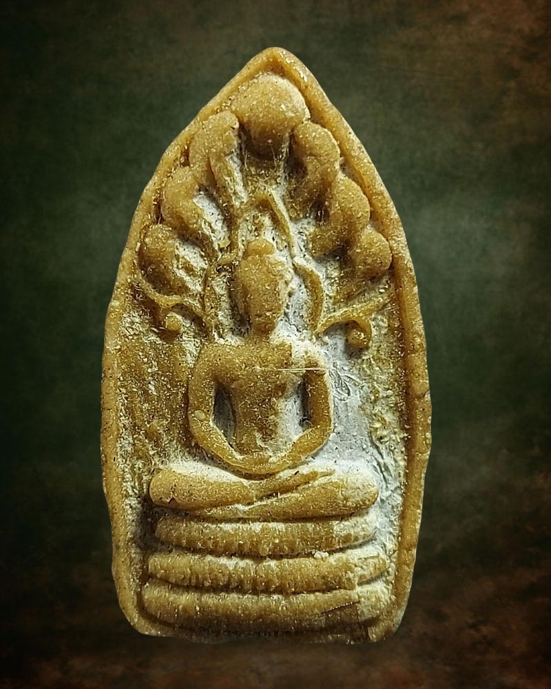 พระนาคปรก หลวงปู่พล ธมมปาโล วัดหนองคณฑี สระบุรี (มีเกษา) - 2
