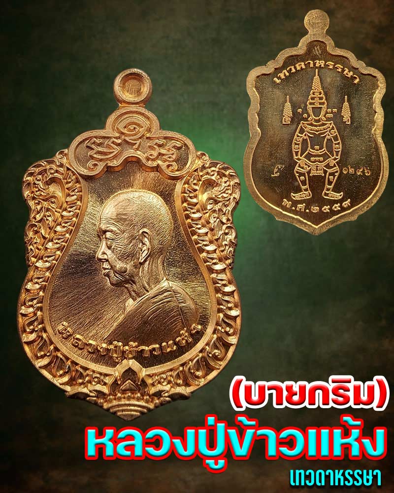 เหรียญเสมาหันข้าง หลวงปู่ข้าวแห้ง  เทวดาหรรษา​  - 1