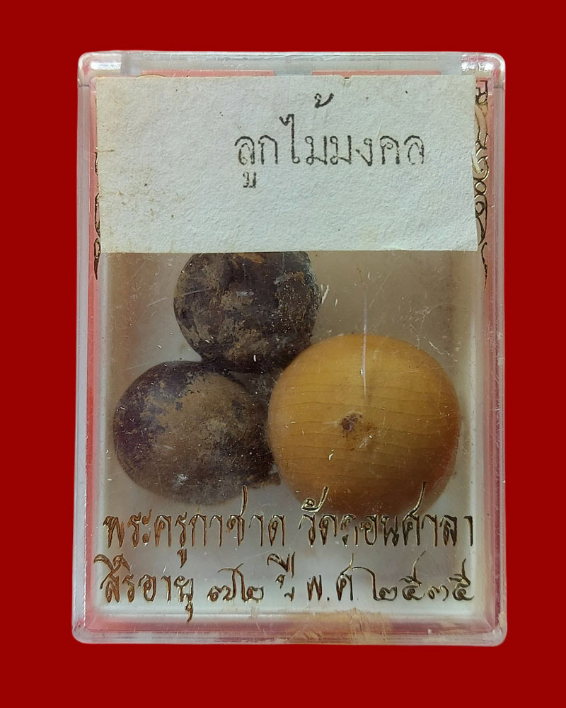ลูกไม้มงคล พระครูกาชาด (บุญทอง) - 4
