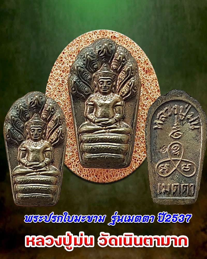 พระปรกใบมะขาม รุ่นเมตตา หลวงปู่ม่น วัดเนินตามาก - 1