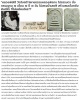 สมเด็จ หลวงพ่อใช้ วัดโบสถ์ อยุธยา