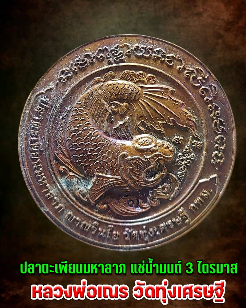 เหรียญ ปลาตะเพียนมหาลาภ แช่น้ำมนต์ 3 ไตรมาส หลวงพ่อเณร วัดทุ่งเศรษฐี - 1