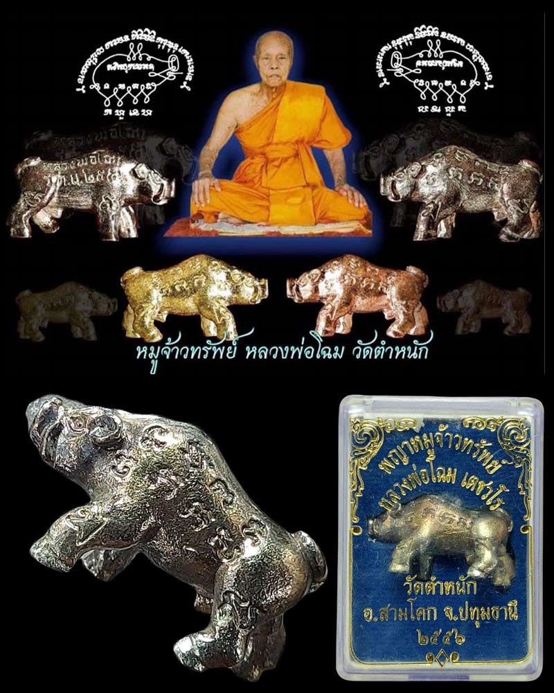 หมูเจ้าทรัพย์ หลวงปู่โฉม วัดตำหนัก จ.ปทุมธานี - 1