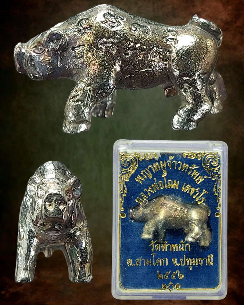 หมูเจ้าทรัพย์ หลวงปู่โฉม วัดตำหนัก จ.ปทุมธานี - 3