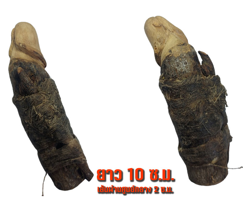 หลวงปู่เมฆ วัดลำกระดาน (1) - 4