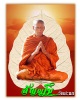 พระผงรูปเหมือนครึ่งองค์หลวงพ่อลำใย วัดสะแก ปี 2547