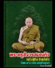 พระปิดตาหลังปลาตะเพียนคู่ หลวงปู่ทิม วัดพระขาว 