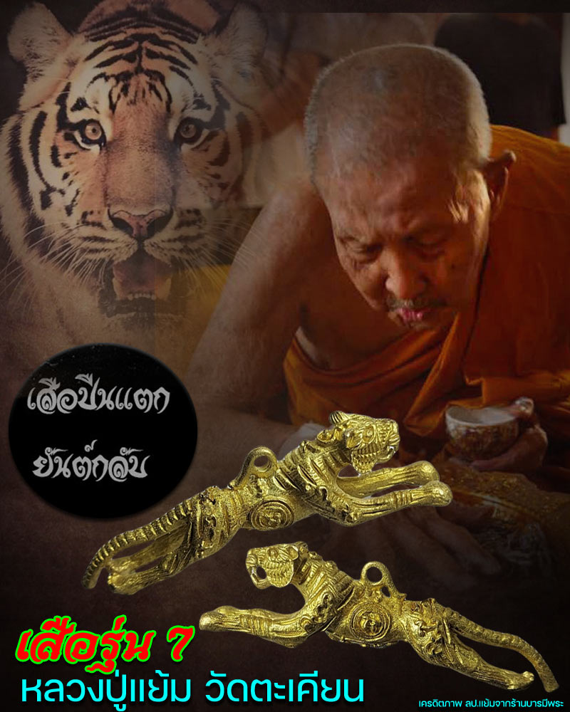 เสือปืนแตก ยันต์กลับ เสือรุ่น 7 หลวงปู่แย้ม วัดตะเคียน ปี 2554 - 1