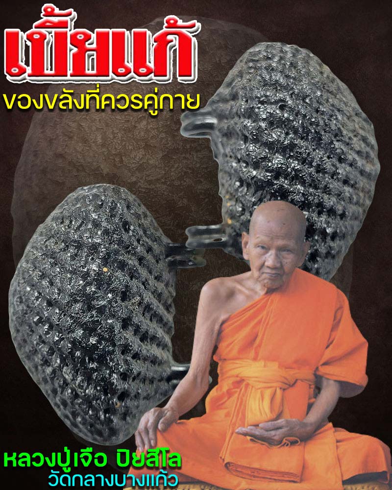 เบี้ยแก้ หลวงปู่เจือ วัดกลางบางแก้ว - 1