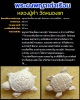 เต่าเรือน เนื้อผง หลวงปู่คำ วัดหนองแก