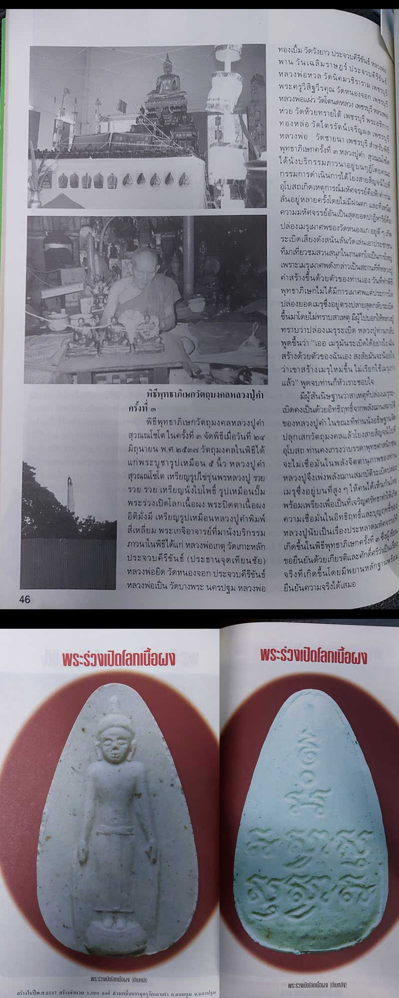 พระร่วงเปิดโลก หลวงปู่คำ วัดหนองแก - 2