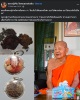 ซานหมาก  หลวงปู่เจือ วัดหนองแผ่นดิน จ.กำแพงเพชร