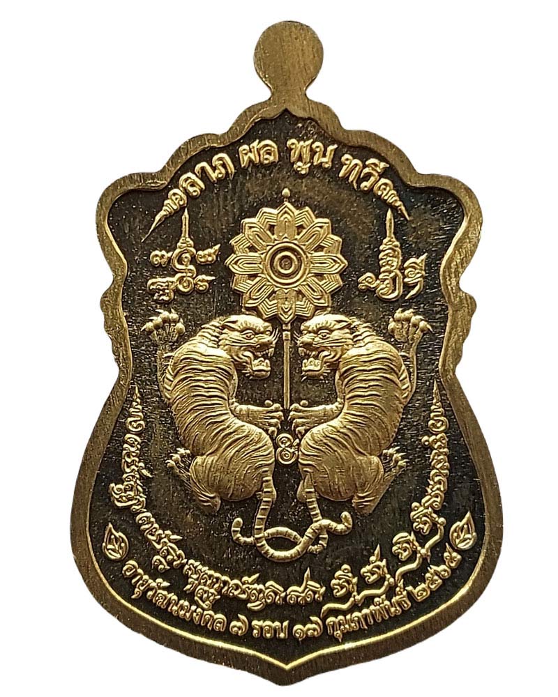 เหรียญหลวงปู่ทวี วัดไทรใหญ่ รุ่นลาภผลพูนทวี - 4