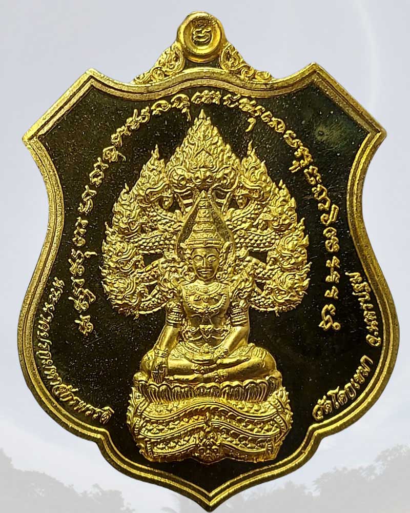 เหรียญพระนาคปรกมหาจักรพรรดิ วัดโคกเขมา นครปฐม - 1
