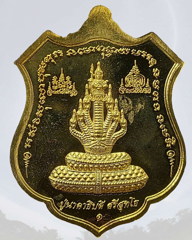 เหรียญพระนาคปรกมหาจักรพรรดิ วัดโคกเขมา นครปฐม - 2