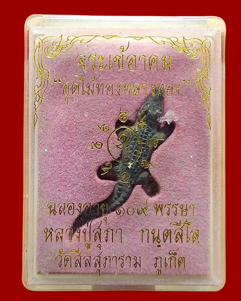 จระเข้อาคม หลวงปู่สุภา กันตะสีโล - 4