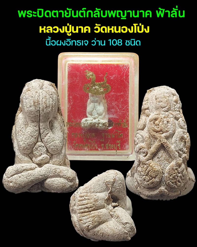 พระปิดตายันต์กลับพญานาคฟ้าลั่น หลวงปู่นาค วัดหนองโป่ง จ.สระบุรี - 1