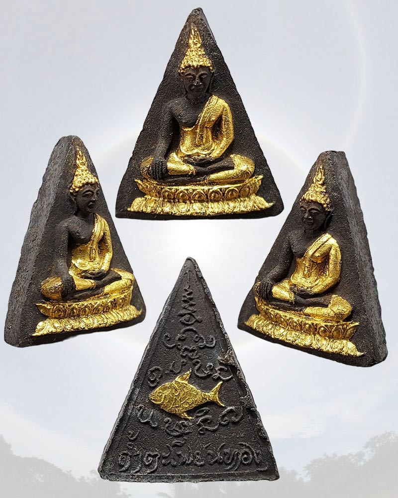 นางพญางิ้วดำ รุ่นแรก กรรมการ หลวงปู่ทองดำ วัดถ้ำตะเพียทอง - 2