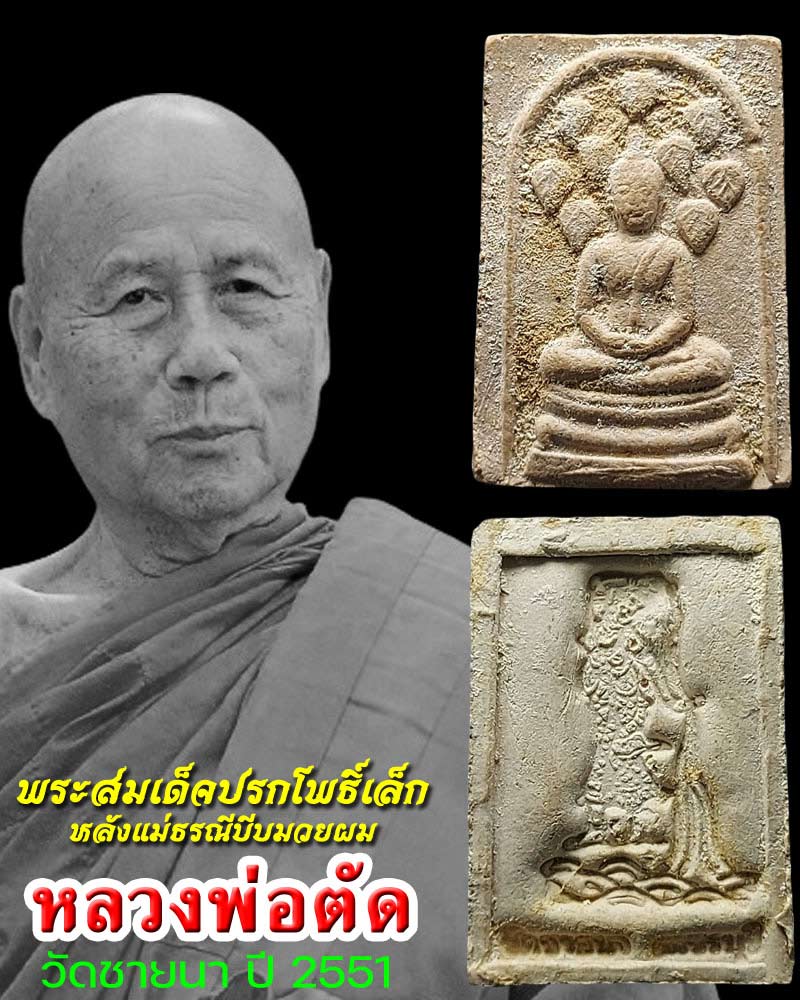 พระสมเด็จปรกโพธิ์เล็ก หลังแม่ธรณีบีบมวยผม หลวงพ่อตัด วัดชายนา - 1