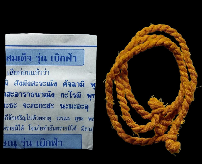 พระสมเด็จเบิกฟ้า หลวงพ่อรักษ์ อนาลโย วัดสุทธาวาสวิปัสนา ปี 2552 - 3