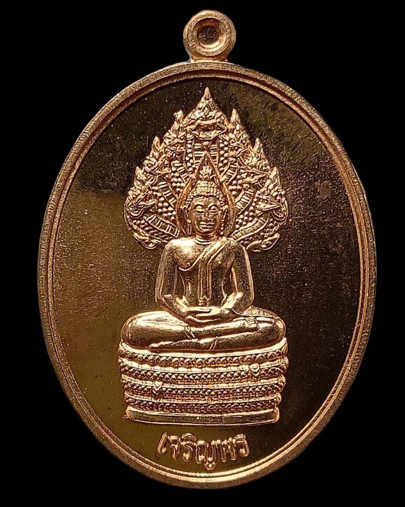 เหรียญพระนาคปรกเจริญพร พระมหาสุรศักดิ์ วัดประดู่ พระอารามหลวง - 3