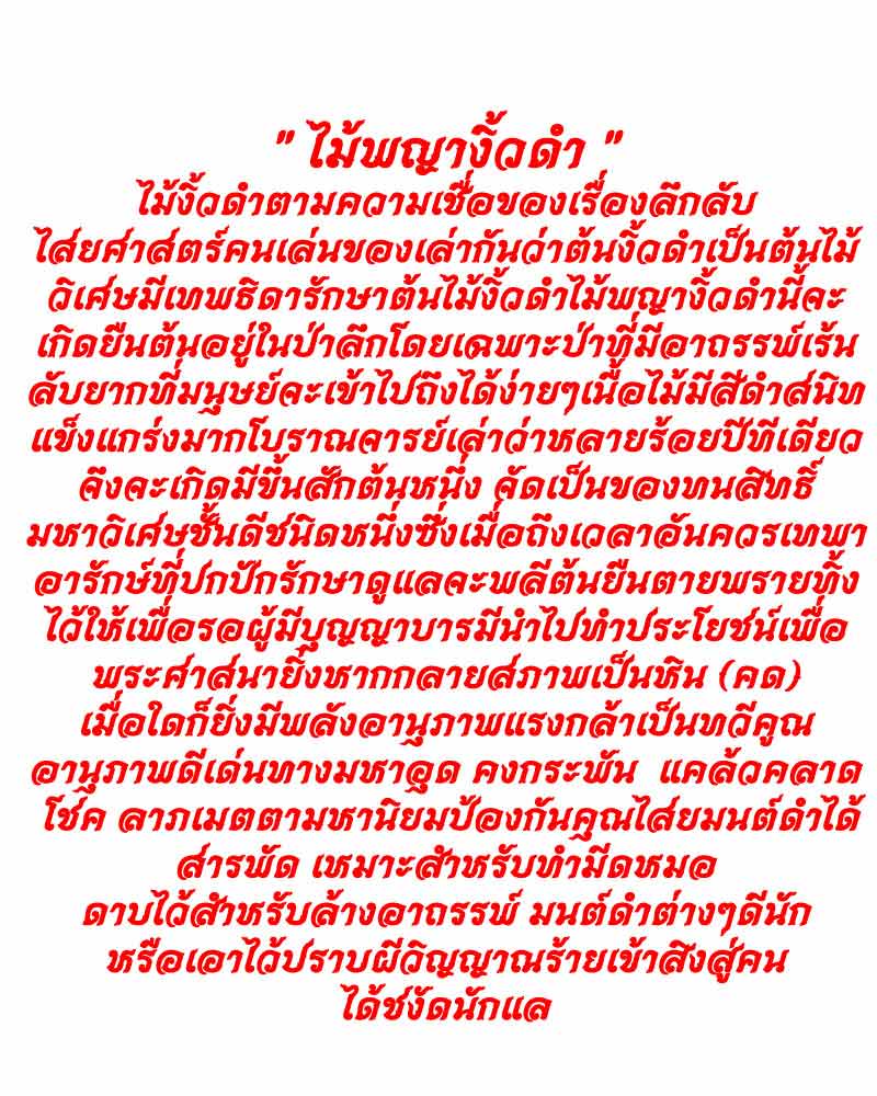 พระนางพญางิ้วดำ รุ่น 2 หลวงพ่อทองดำ วัดถ้ำตะเพียนทอง - 5