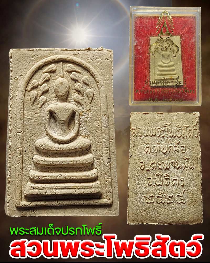 สมเด็จปรกโพธิ์ สวนพระโพธิสัตว์ ปี 24 - 1
