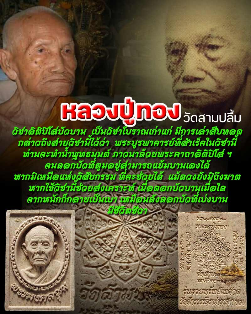 พระผง หลวงปู่ทอง วัดสามปลื้ม รุ่นรวยทรัพย์ไพศาล - 1