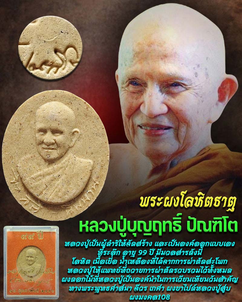 พระผงโลหิตธาตุ 99 ปี หลวงปู่บุญฤทธิ์ ปัณฑิโต - 1