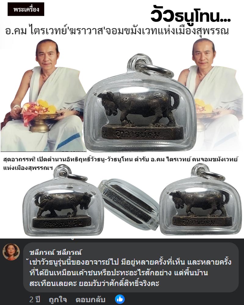 วัวธนูโทน อาจารย์คม ไตรเวทย์ - 1