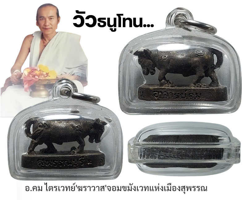วัวธนูโทน อาจารย์คม ไตรเวทย์ - 4