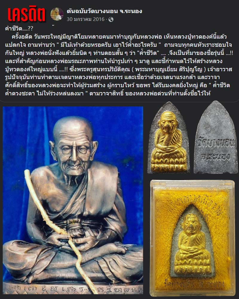พระผงว่าน หลวงปู่ทวด วัดบางนอง รุ่นค้ำชีวิต - 1