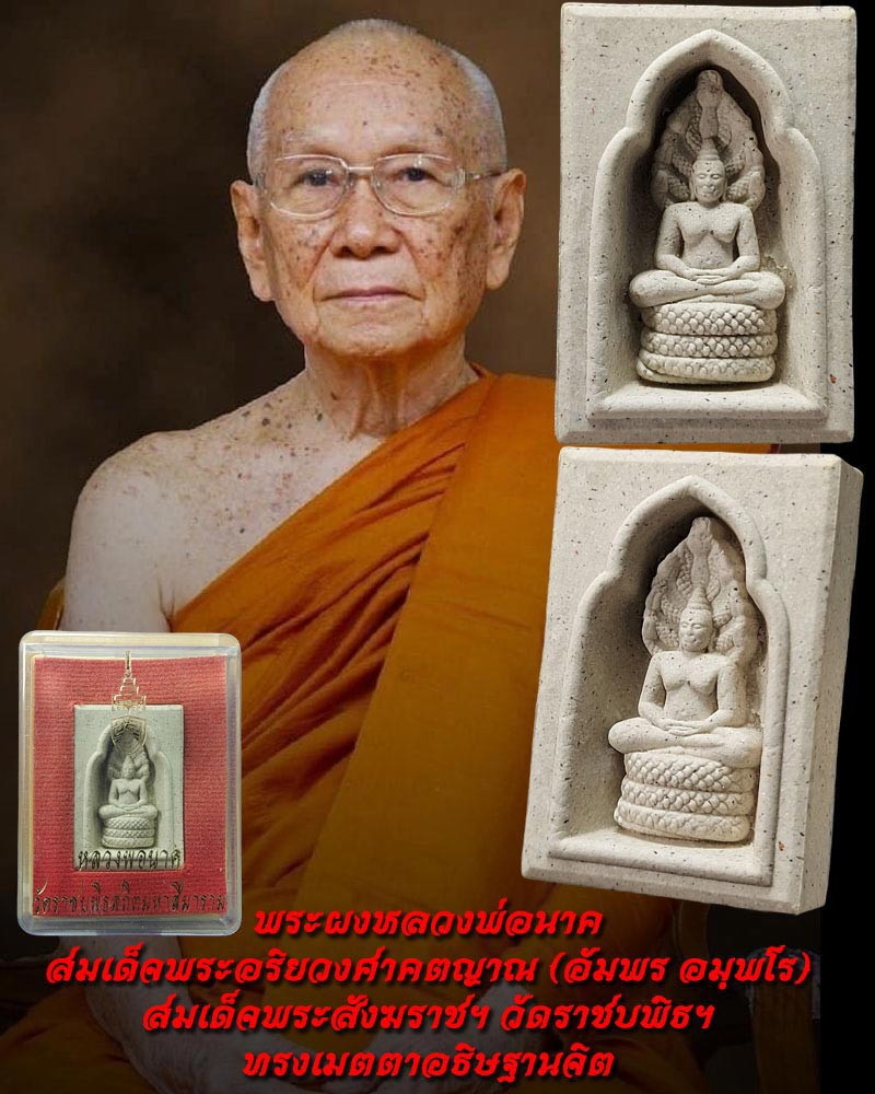 พระผงหลวงพ่อนาค สมเด็จพระอริยวงศาคตญาณ (อัมพร อมฺพโร) - 1