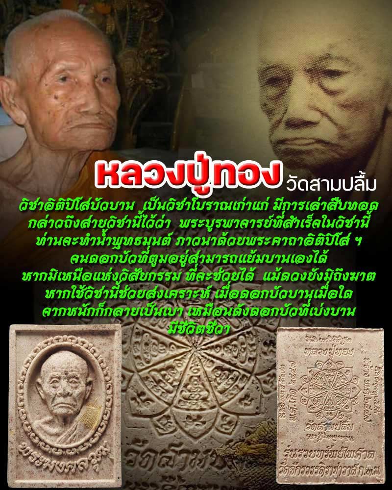 พระผง หลวงปู่ทอง วัดสามปลื้ม รุ่นรวยทรัพย์ไพศาล - 1