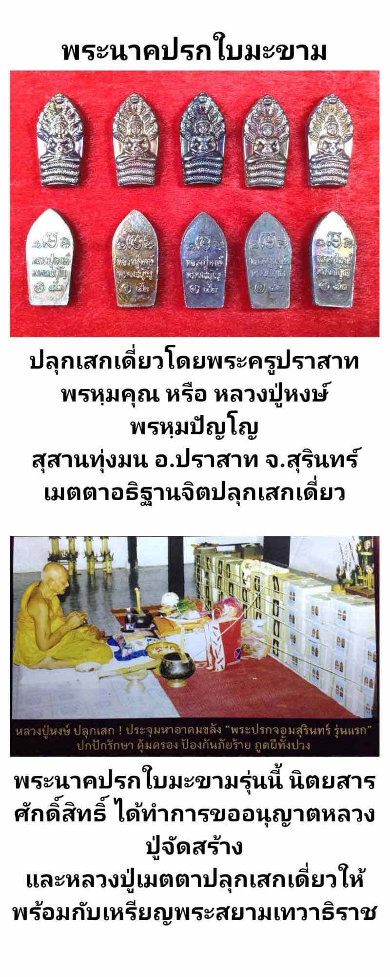 พระปรกใบมะขาม หลวงปู่หงษ์ วัดเพชรบุรี สุรินทร์ - 4