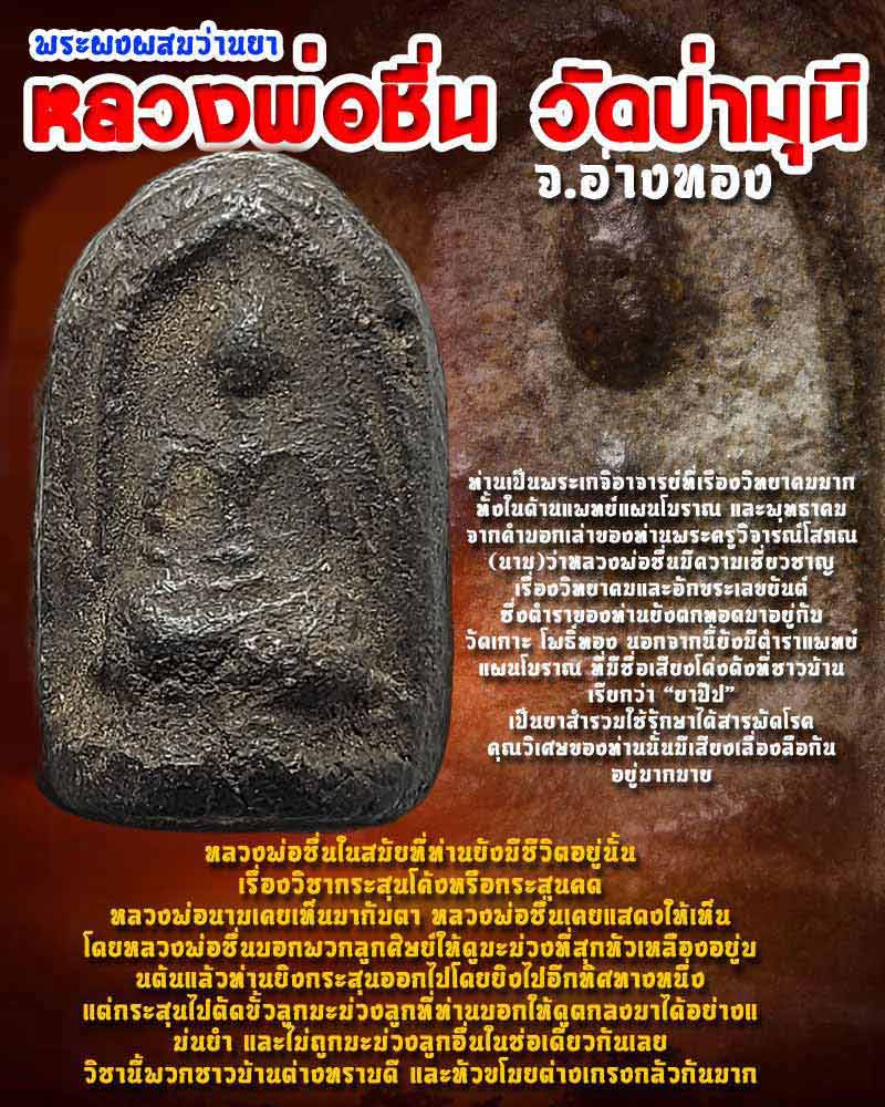 พระผงผสมว่านยา หลวงพ่อชื่น วัดป่ามุนี - 1