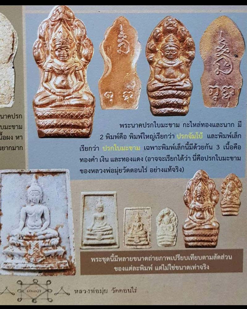 พระปรกจัมโบ้ วัดวิมลโภคาราม ปี 2515 หลวงพ่อมุ่ย วัดดอนไร่ ปลุกเสก (2) - 2