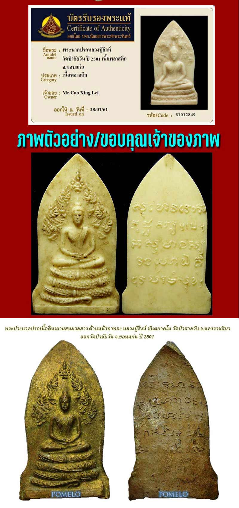 พระนาคปรก เนื้อพลาสติก หลวงปู่สิงห์ วัดป่าสาลวัน - 4