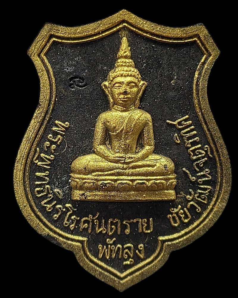 พุทธนิรโรคันตราย ปัดทอง ชัยวัฒน์จตุรทิศ - 2