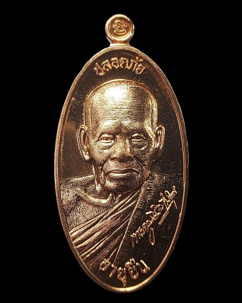 เหรียญใบขี้เหล็ก หลวงพ่อพัฒน์ วัดห้วยด้วน นครสวรรค์ รุ่น ปลอดภัย อายุยืน - 2