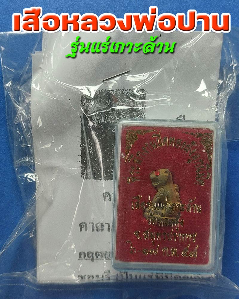 เสือหลวงพ่อปาน วัดคลองด่าน ออกวัดท้องคุ้ง รุ่นแร่เกาะล้าน - 1