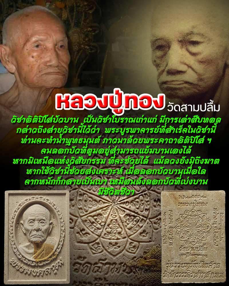 พระผง หลวงปู่ทอง วัดสามปลื้ม รุ่นรวยทรัพย์ไพศาล - 1