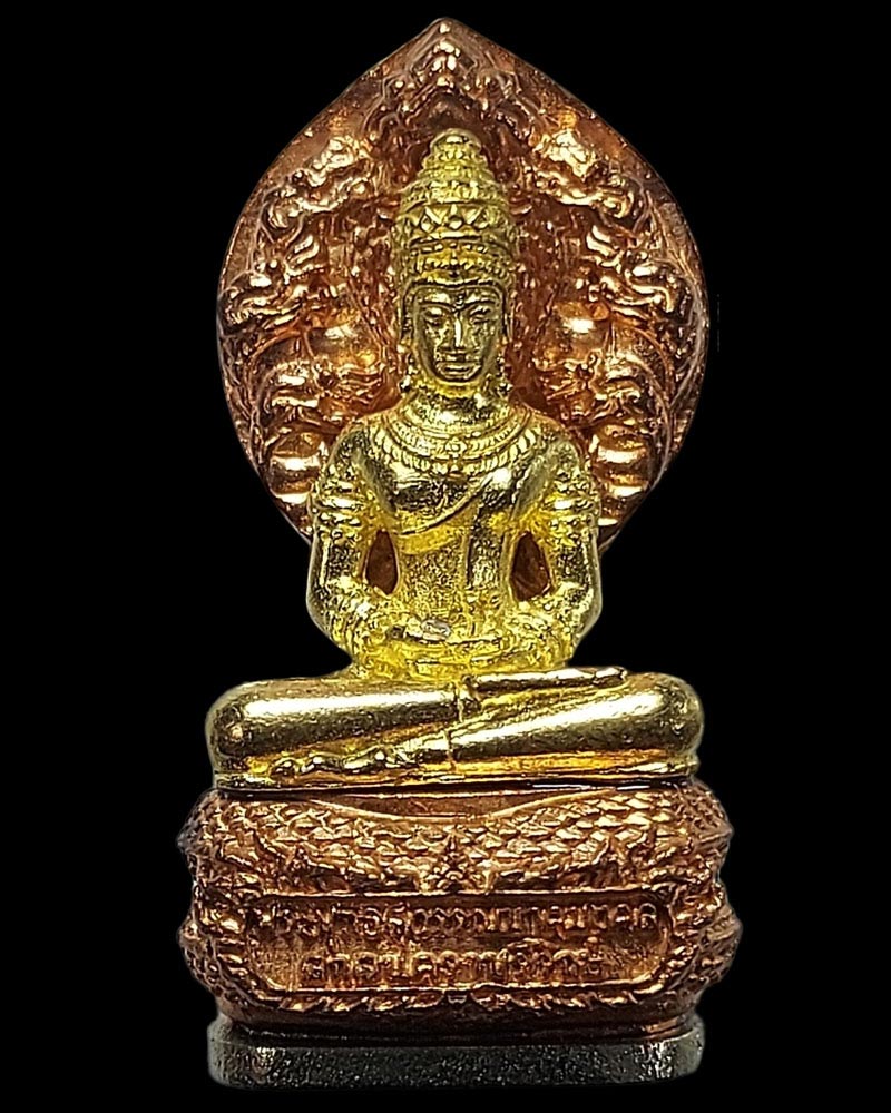 พระพุทธสุวรรณนาคมงคล สกลนคราบรีรักษ์ - 2