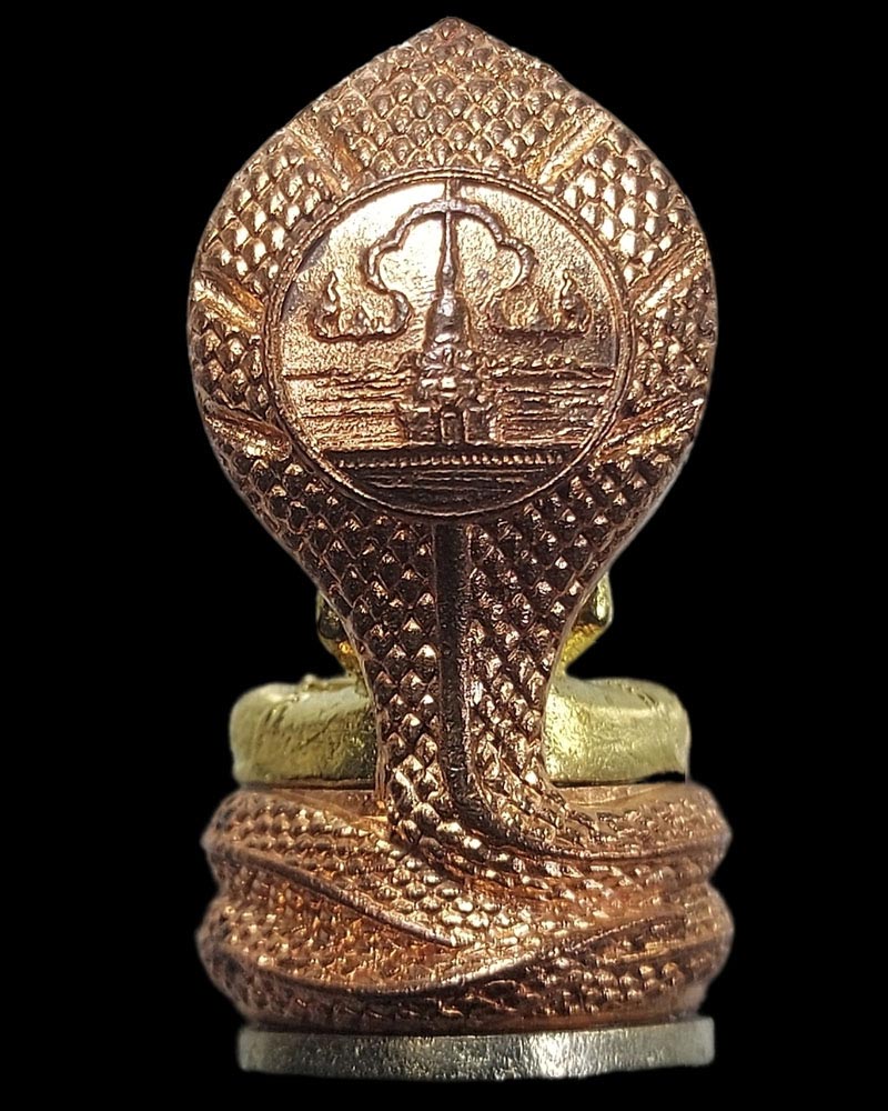 พระพุทธสุวรรณนาคมงคล สกลนคราบรีรักษ์ - 3