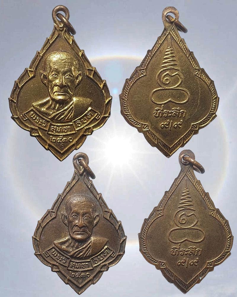 เหรียญพุ่มข้าวบิณฑ์ พระวิสุทธาธิบดี (ไสว ฐิตวีโร) 2 เหรียญ - 2