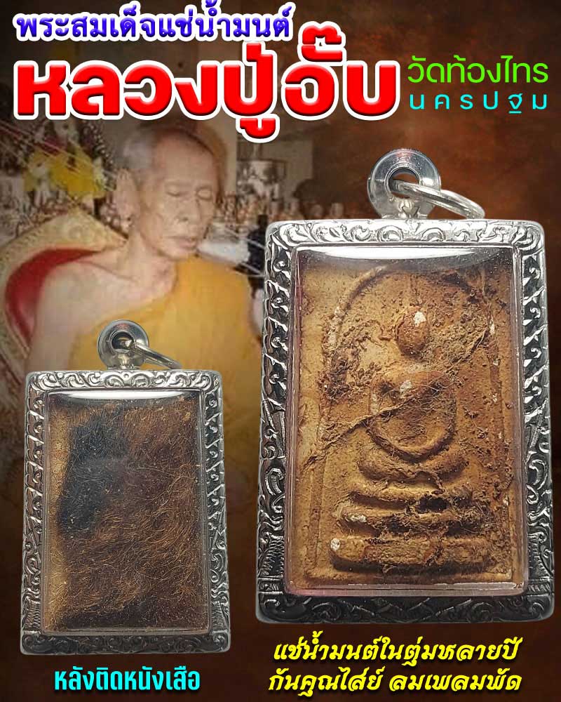 สมเด็จแช่น้ำมนต์ หลังหนังเสือ หลวงปู่อั๊บ วัดท้องไทร - 1