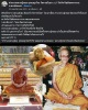 หมากทุย หลวงปู่หลุย วัดราชโยธา
