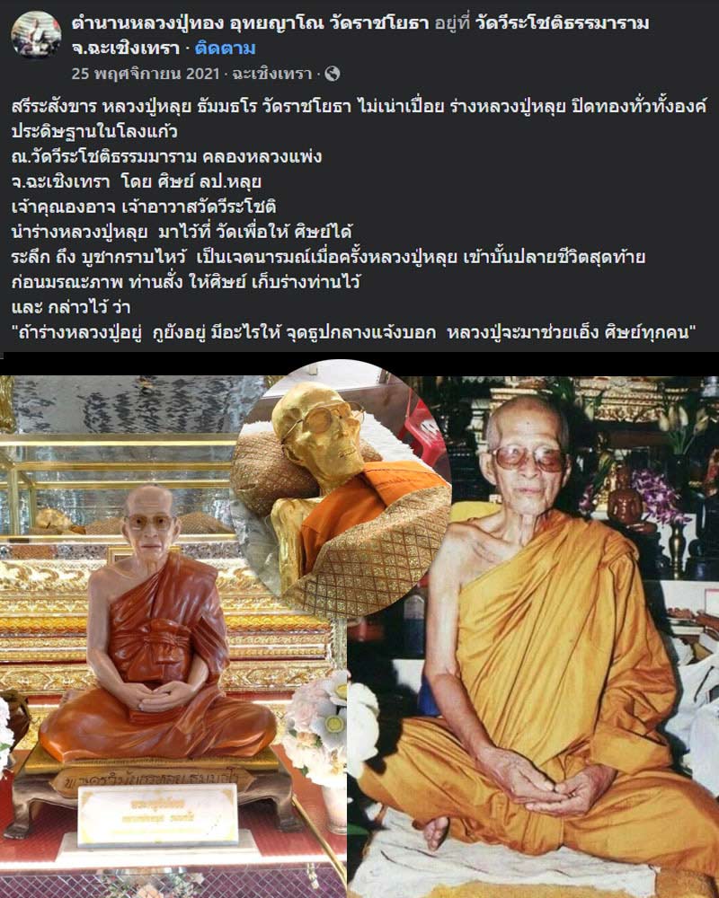 หมากทุย หลวงปู่หลุย วัดราชโยธา - 1