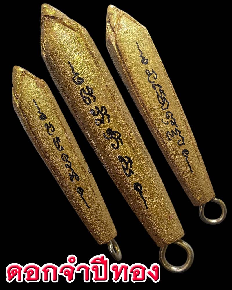 ดอกจำปีทอง - 1