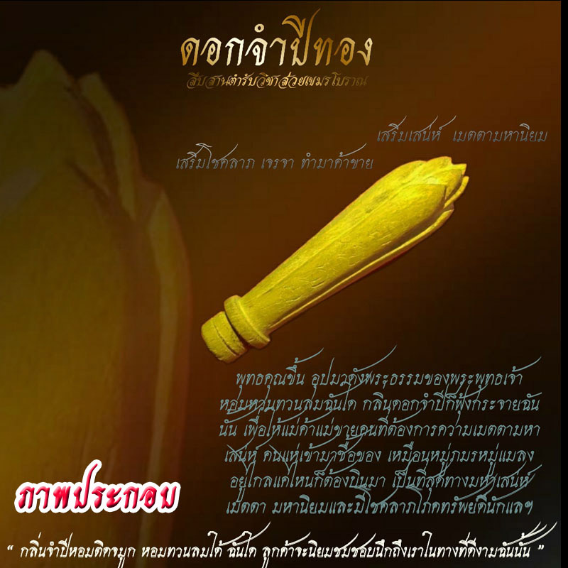 ดอกจำปีทอง - 2